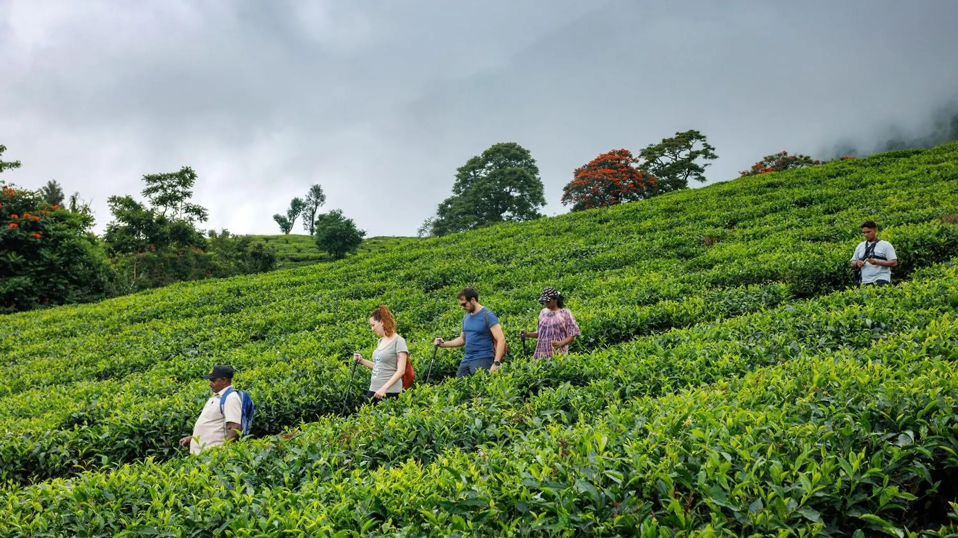Amber Dale Luxury Hotel & Spa, Munnar Inde