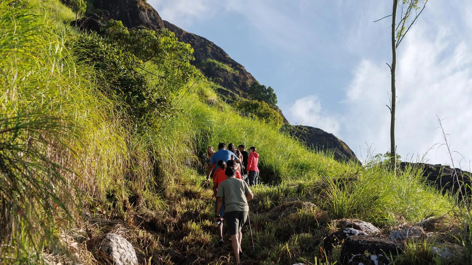 Amber Dale Luxury Hotel & Spa, Munnar