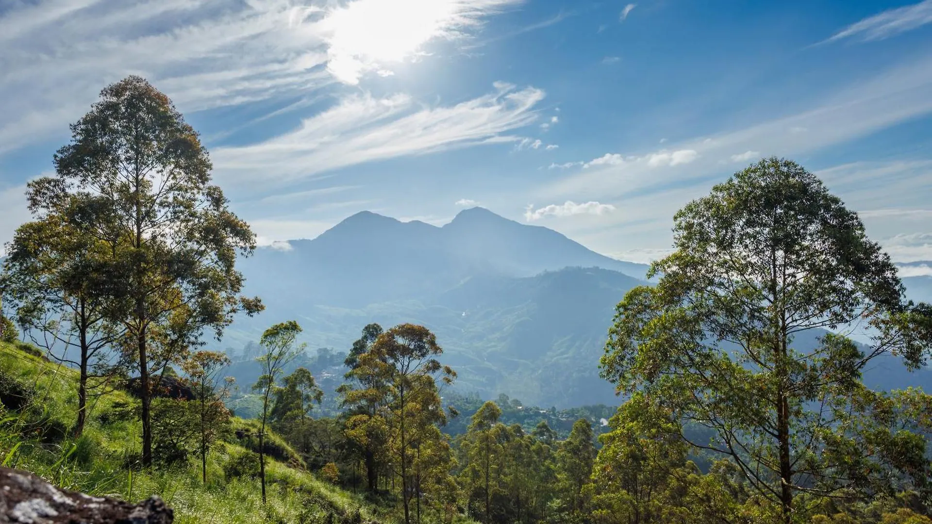 Amber Dale Luxury Hotel & Spa, Munnar