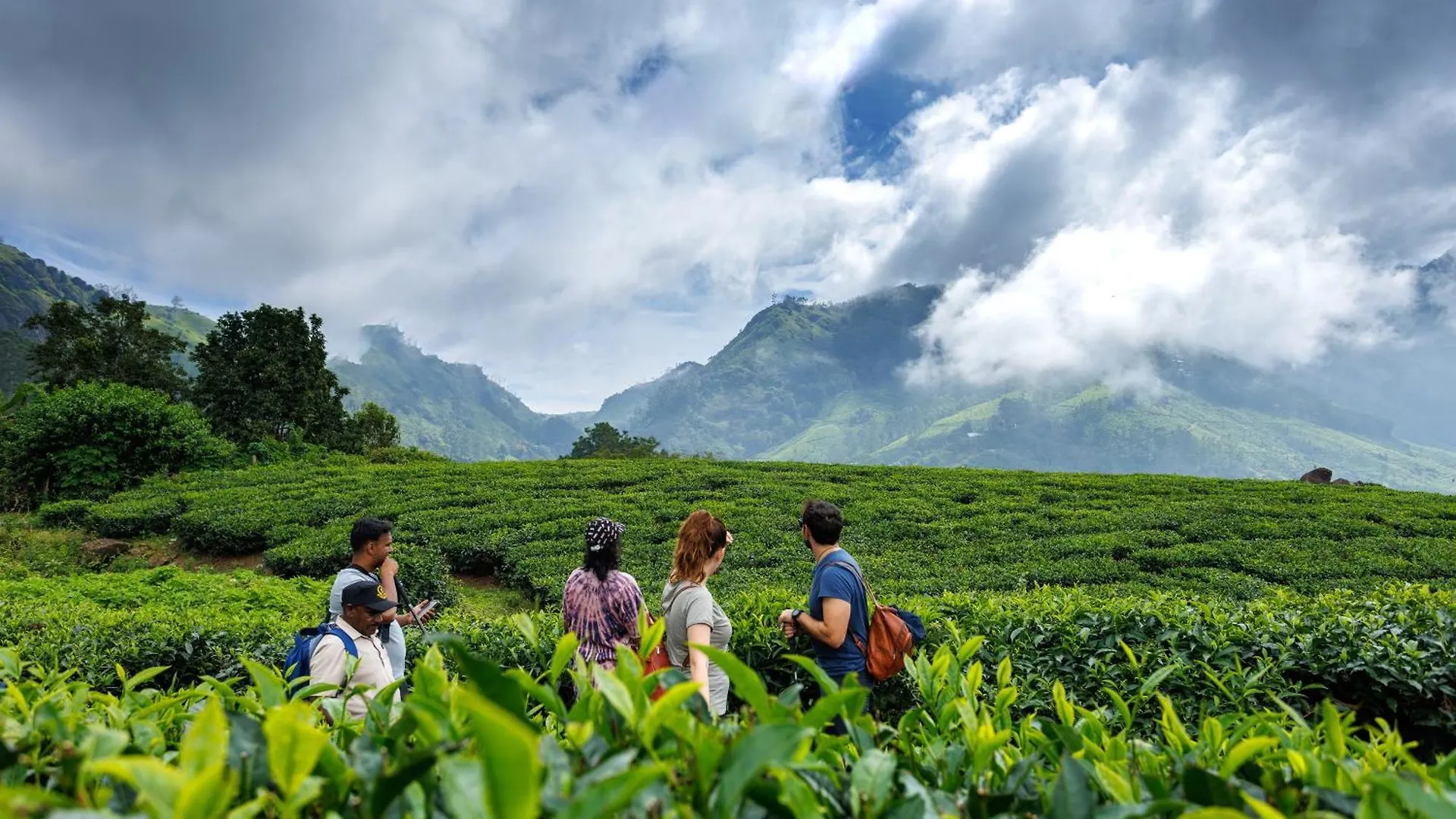 Amber Dale Luxury Hotel & Spa, Munnar 5*,