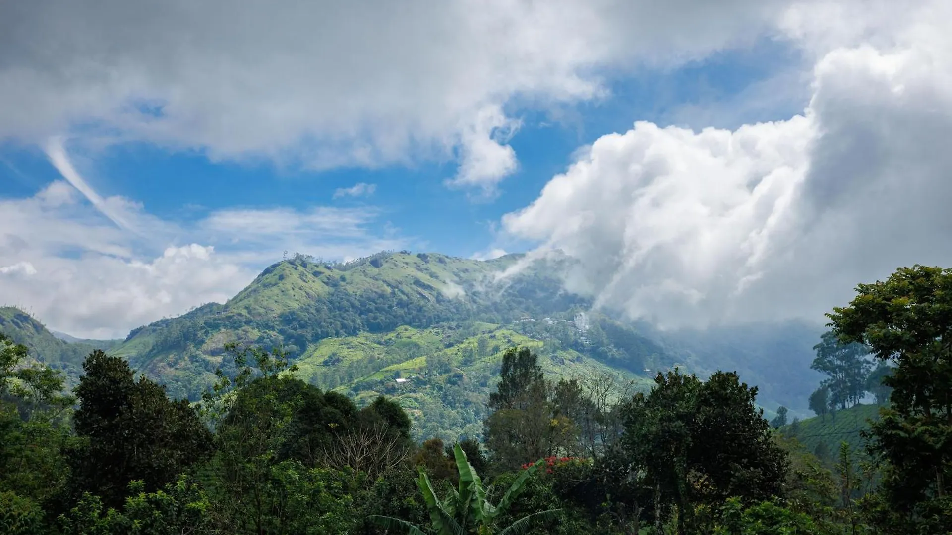 Amber Dale Luxury Hotel & Spa, Munnar