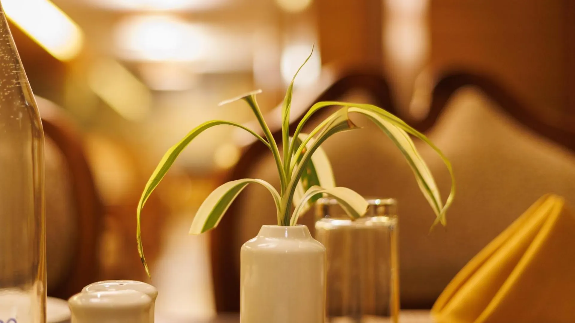 Amber Dale Luxury Hotel & Spa, Munnar
